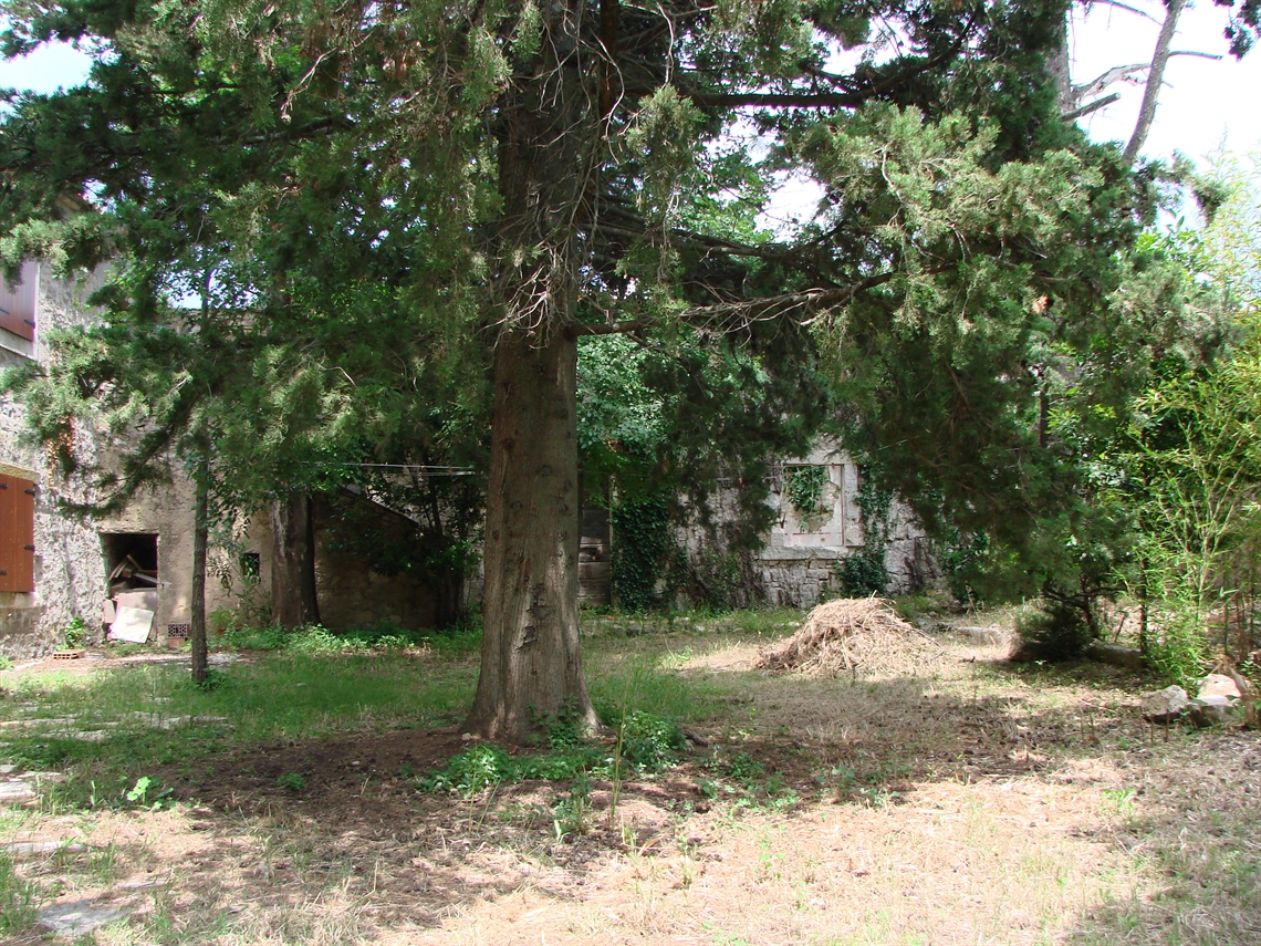 Image description